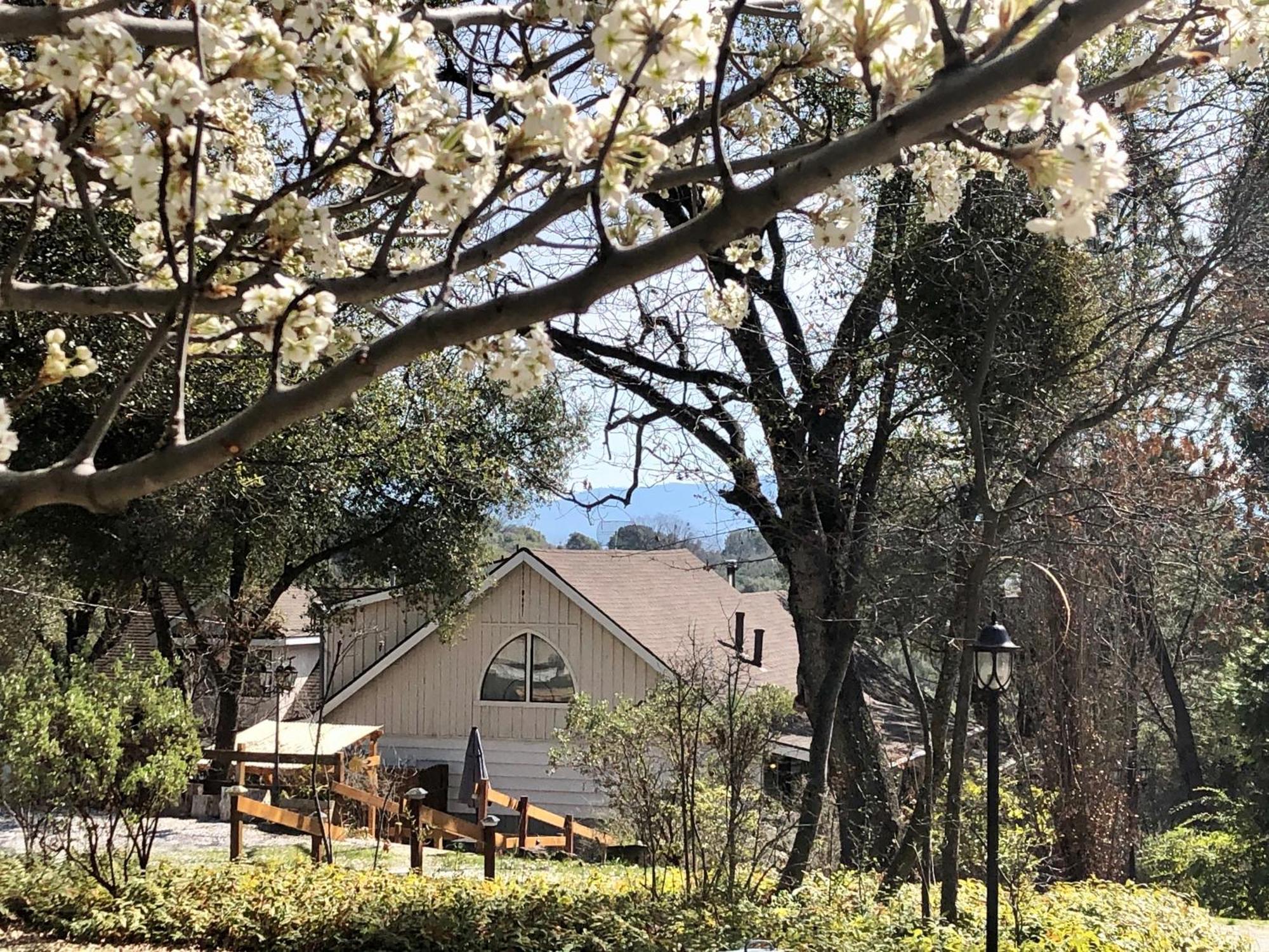 Sierra Mountain Lodge - Vacation Rentals - Yosemite Оане Екстериор снимка